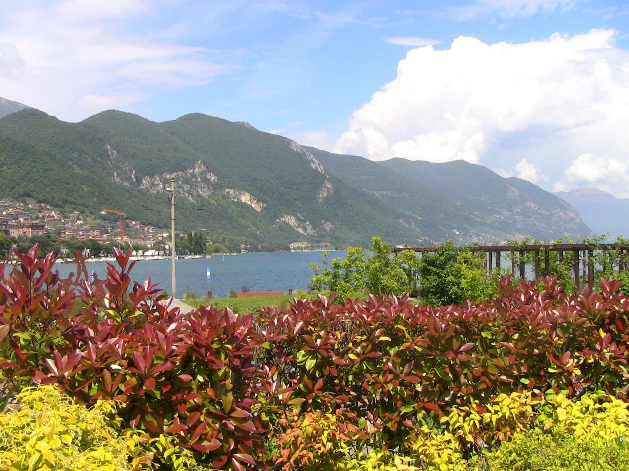 Appartamento Luisa Al Lago D'Iseo Паратико Екстериор снимка